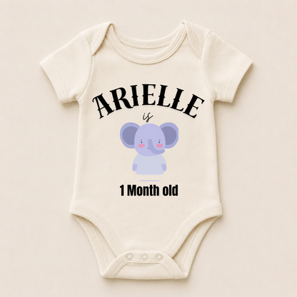 Tiny Treasures Baby Vest Collection