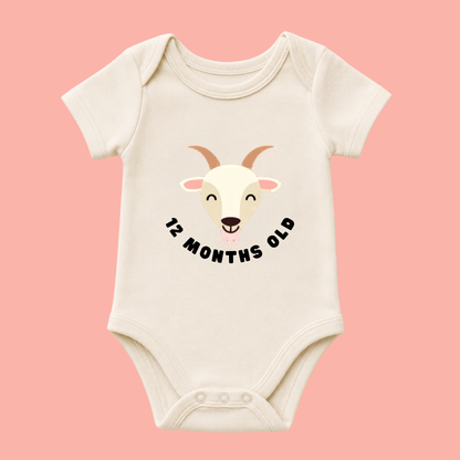 Tiny Treasures Baby Vest Collection